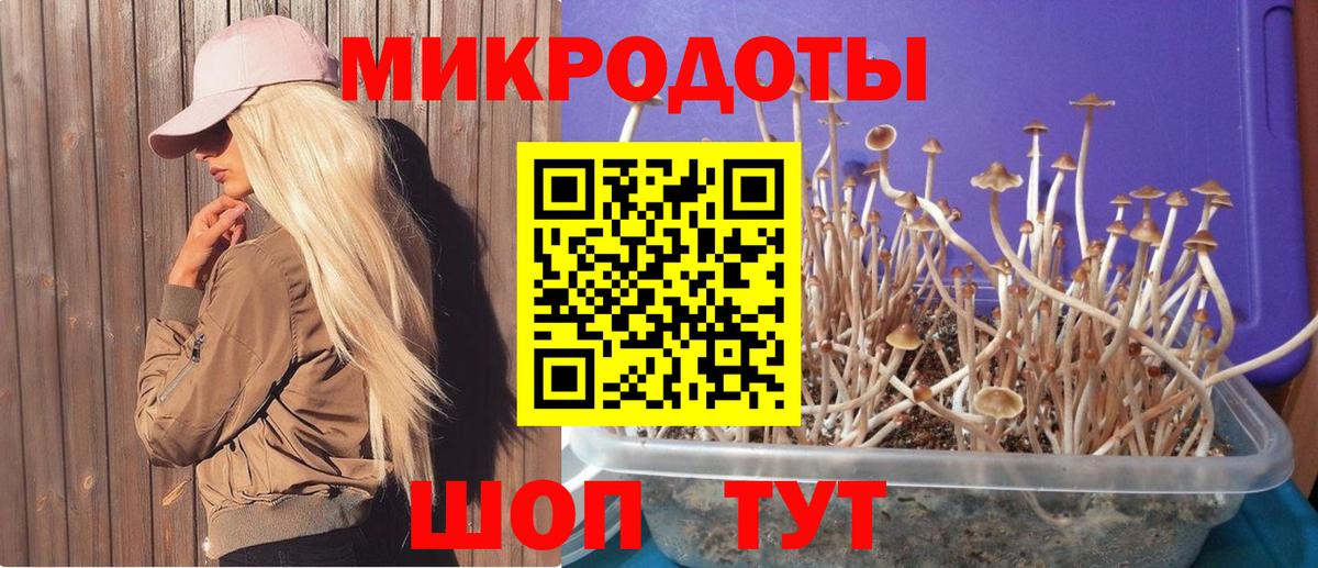 Псилоцибиновые грибы Cubensis  Вход с VPN  Магадан  Галлюциногенные грибы ЛСД 