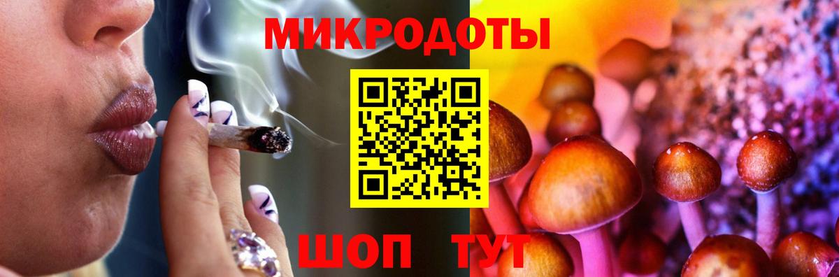 Псилоцибиновые грибы GOLDEN TEACHER Магадан