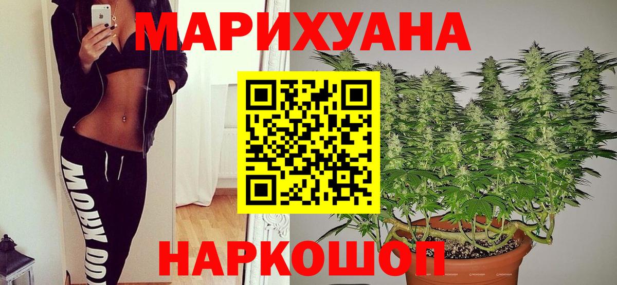 Бошки марихуана план  Бошки марихуана ГИДРОПОН  Магадан  Вход с VPN  Шишки марихуана конопля 